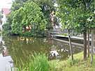 Stadtsee – Abfluss im westlichen Seebereich