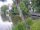 Stadtsee – Seeauslauf am Westufer