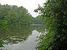 Schloßsee – Blick vom Ostufer Höhe Schloßhof