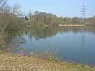 Großer Silbersee – nordwestlicher Seebereich