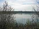 Eschmarer See – Blick vom Nordostufer