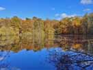 Leyenweiher