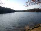 Steinbachtalsperre – Blick vom nordöstlichen Ufer über den See