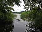 Argensee (Kißlegg) – südlicher Überlauf zum Wuhrmühleweiher