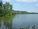 Stadtweiher – Blick vom Westufer auf den See