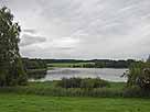Ellerazhofer Weiher – südlicher Seebereich