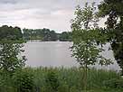 Ellerazhofer Weiher – Blick in den nördlichen Seebereich
