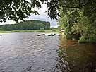 Holzmühleweiher – Blick in die nordöstliche Bucht