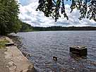 Holzmühleweiher – Blick entlang des Ostufers