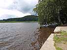 Holzmühleweiher – Ostufer, Blick Richtung Norden