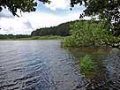 Holzmühleweiher – nordöstlicher Seebereich