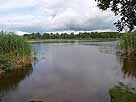 Metzisweiler Weiher – Blick vom Westufer