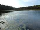 Küchenteich – Blick über den See Richtung Westen