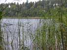 Mittlerer Dolgensee – Blick vom Ostufer des Dolgensees