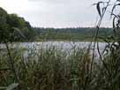 Mittlerer Dolgensee – Blick vom Ostufer des Sees