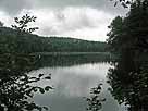 Flappachweiher – Blick in den westlichen Seebereich