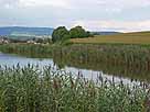 Bifangweiher – südlicher Teil des Weihers