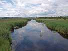 Federsee – Einlaufbereich Federseekanal im Südwesten