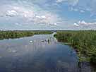 Federsee – Einlaufbereich Federseekanal im Südwesten