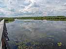 Federsee – Beobachtungsplattform, Blick Richtung Südwesten