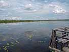 Federsee – See Höhe Beobachtungsplattform