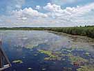 Federsee – See Höhe Beobachtungsplattform