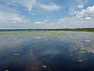 Federsee – Beobachtungsplattform, Blick Richtung Tiefenbach