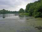 Rosensee (Rosenfeld) – Höhe Brücke B 202, Blick Richtung Süden