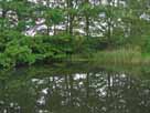 Rosensee