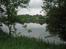 Rosensee