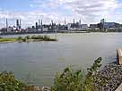 Ölhafen – Vorbecken, Blick auf den Rhein