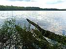 Tholmannsee