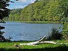 Tholmannsee
