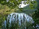 Tholmannsee – Mündungsbereich des Rhin