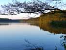 Tholmannsee – Blick von Süden entlang des Ostufers