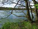 Tholmannsee