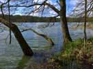 Tholmannsee