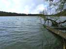 Tholmannsee – Totholz am Ostufer des Sees