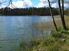 Tholmannsee – Blick in den nördlichen Seebereich