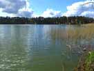 Tholmannsee – Blick vom Nordostufer