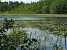 Großer Heegesee