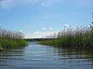 Schwaanhavel – Höhe Einmündung in den Plätlinsee