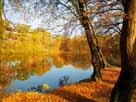 Kahnweiher – Herbst am Kahnweiher