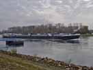 Rhein – Steiger der Stadt Germersheim, Blick flussabwärts