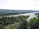 Rhein – Insel Nonnenwerth, Blick flussaufwärts