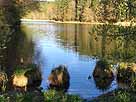 Thanninger Weiher – Blick auf den hinteren Weiher