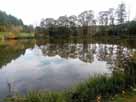 Robertsweiher – Blick vom Westufer über den Weiher