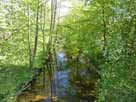 Sieg – Straßenbrücke Waldstraße, Blick flussaufwärts