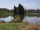 Oberelchinger See