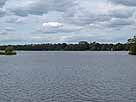 Langensee – Höhe Vogelinseln, Blick Richtung Behler See